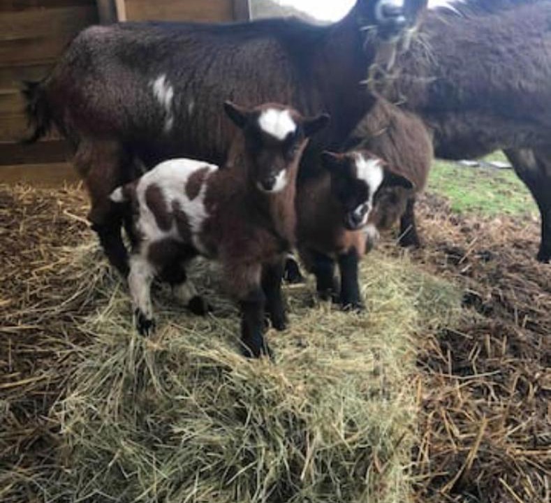 Photo of Others in La Riviere-Saint-Sauveur