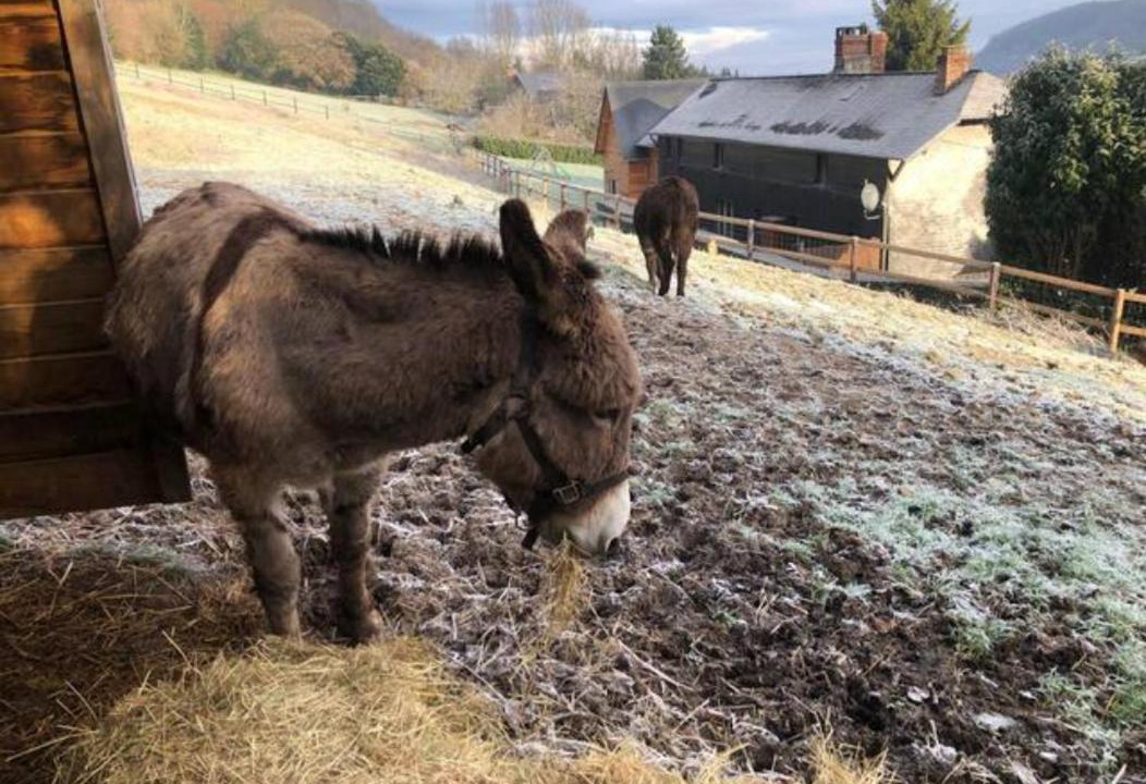 Photo of Others in La Riviere-Saint-Sauveur