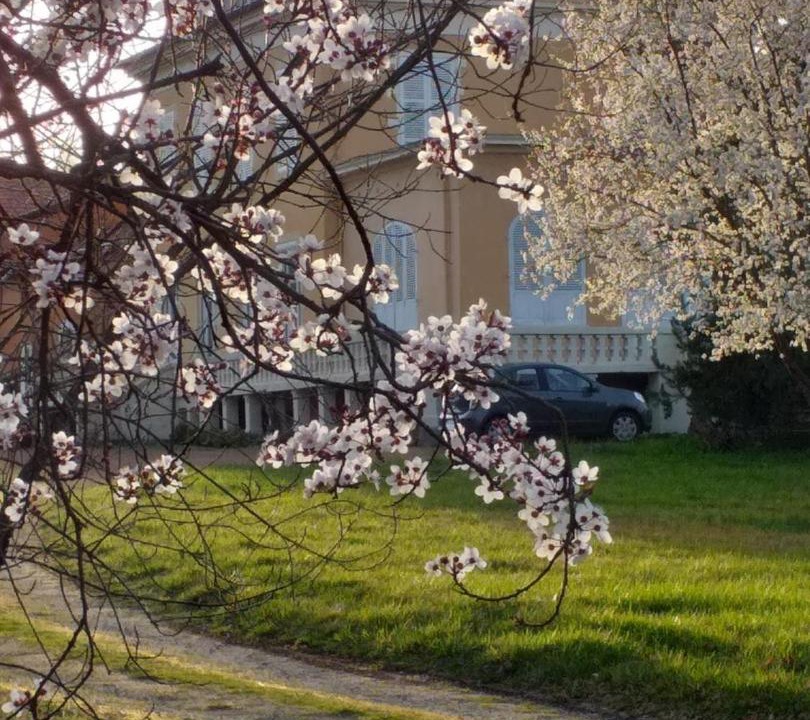 Photo of Others in Ouches