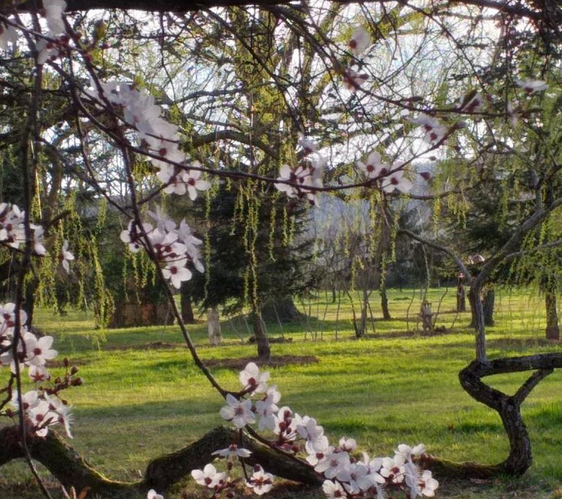 Photo of Others in Ouches