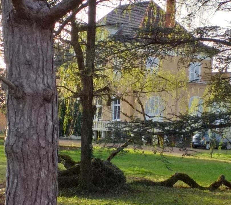 Photo of Others in Ouches