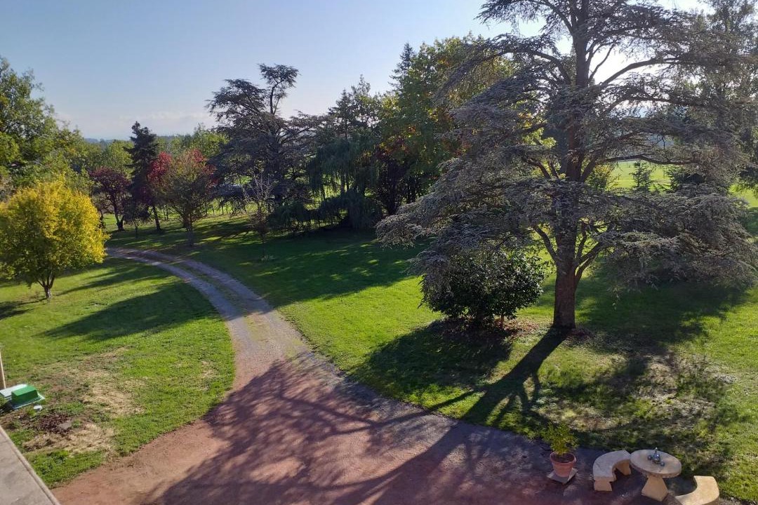 Photo of Others in Ouches