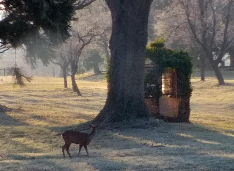 Photo of Others in Ouches