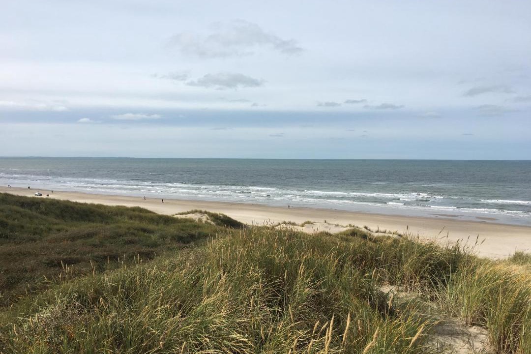 Photo of Others in Rødhus