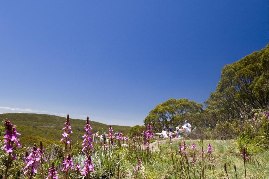 Photo of Outdoor in Baw Baw Village