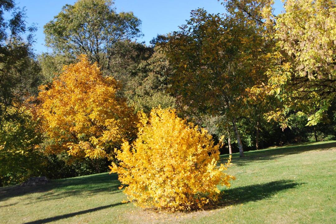 Photo of Outdoor in Cleyrac