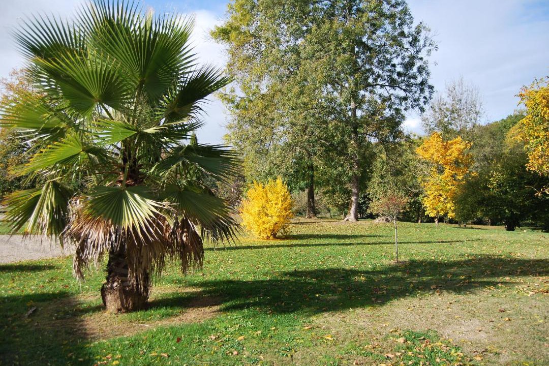 Photo of Outdoor in Cleyrac