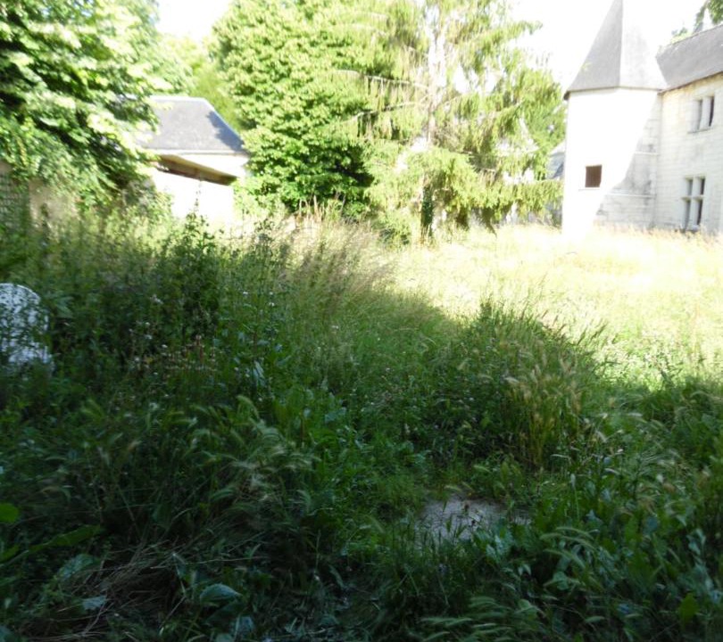 Photo of Others in Courchamps