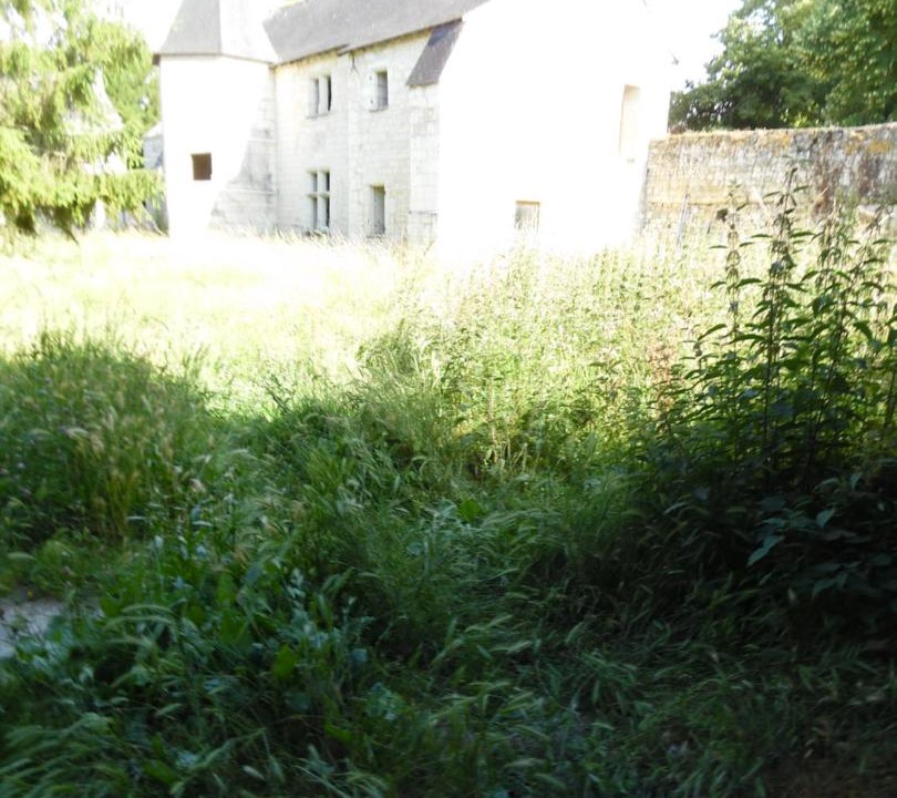 Photo of Buildings in Courchamps