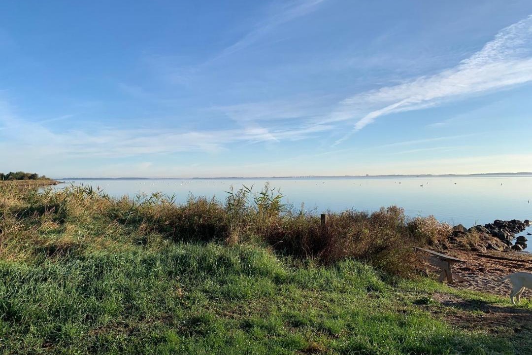 Photo of Others in Rudkobing