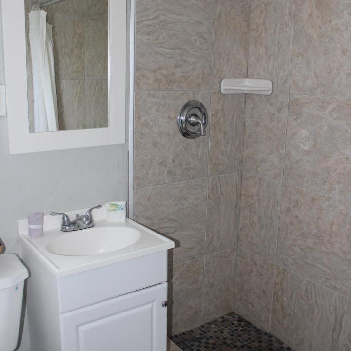 Photo of Others in Reeds