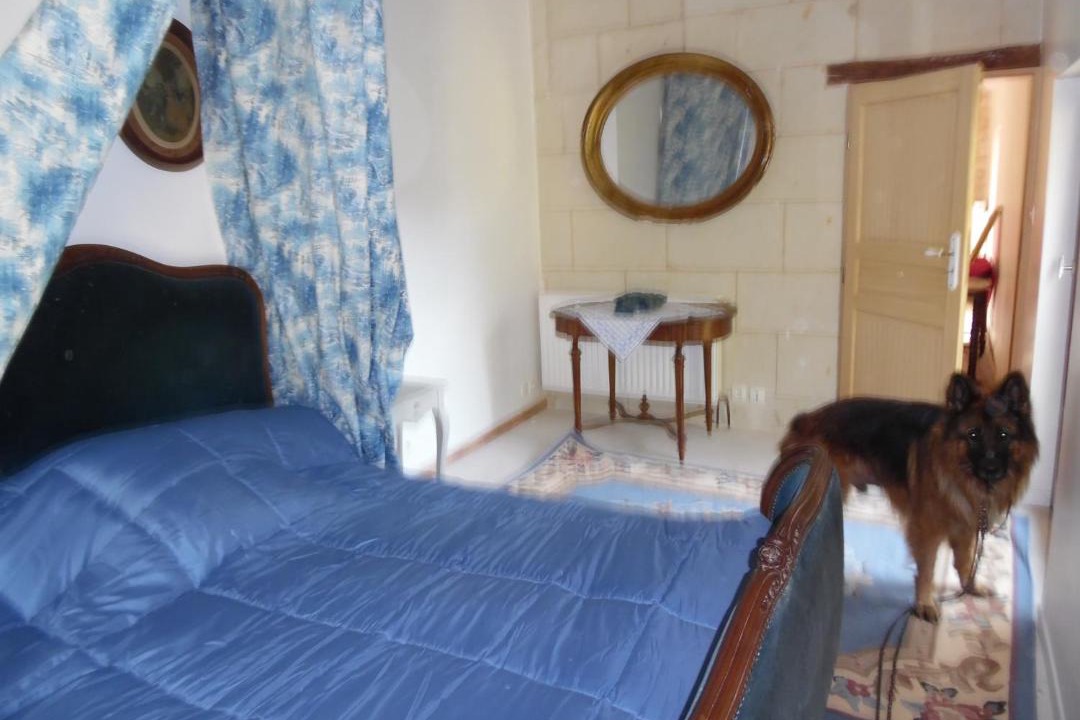 Photo of Others in Courchamps