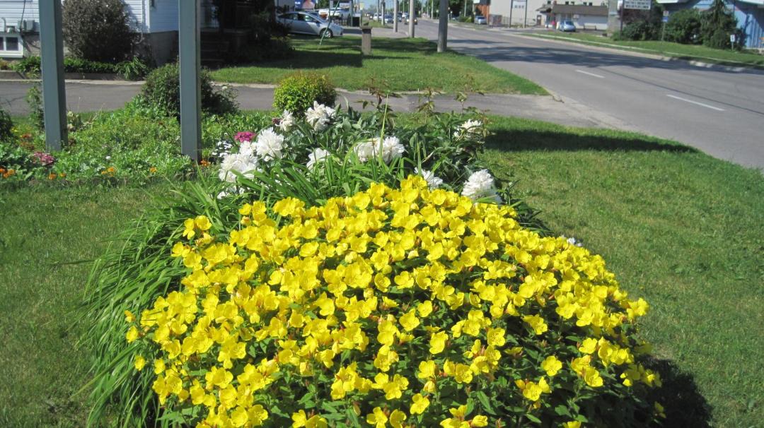 Photo of Outdoor in Stratford
