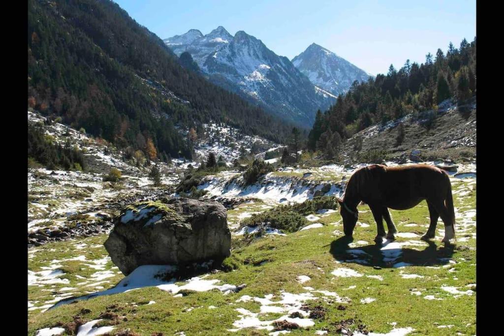 Photo of Others in Cauterets
