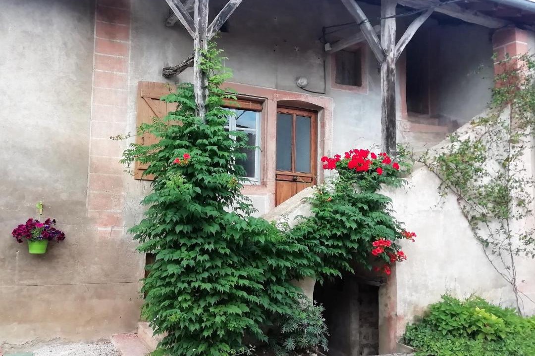 Photo of Others in Prety