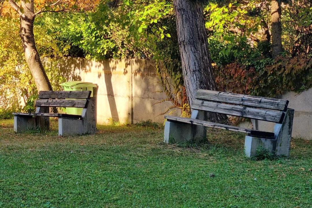 Photo of Others in Sion