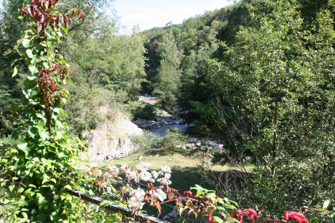 Photo of Others in Le Tech