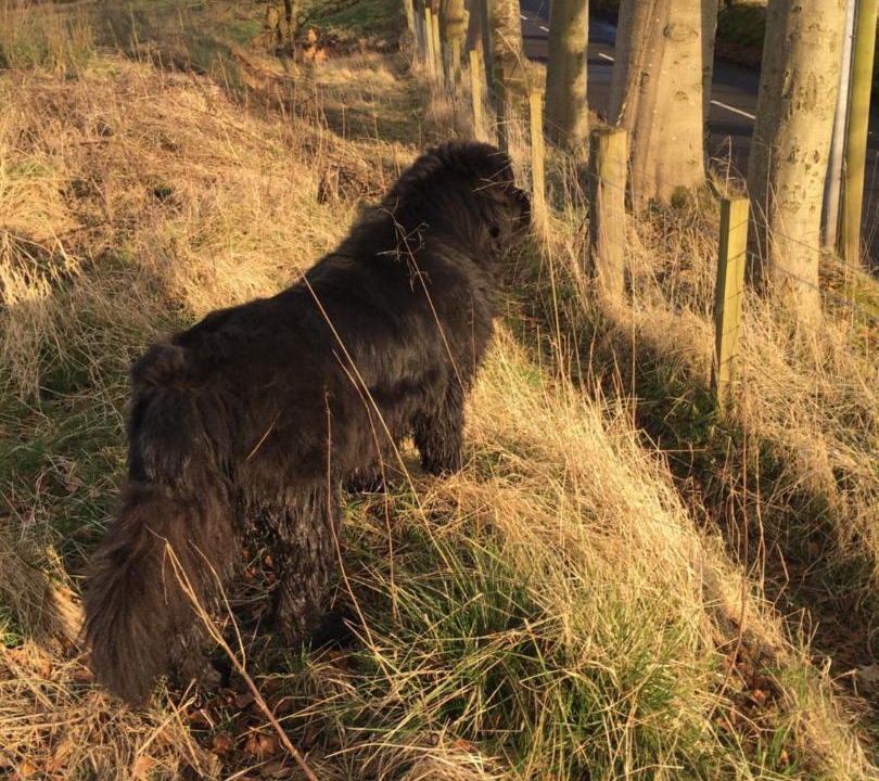 Photo of Outdoor in Falkirk