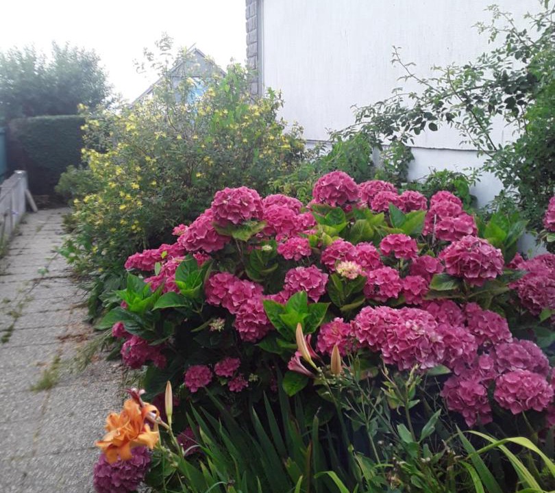 Photo of Others in Equeurdreville-Hainneville