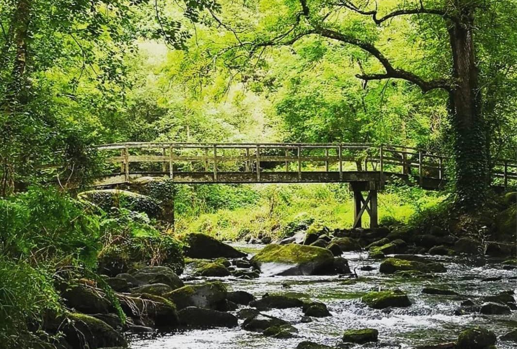 Photo of Others in Quimper