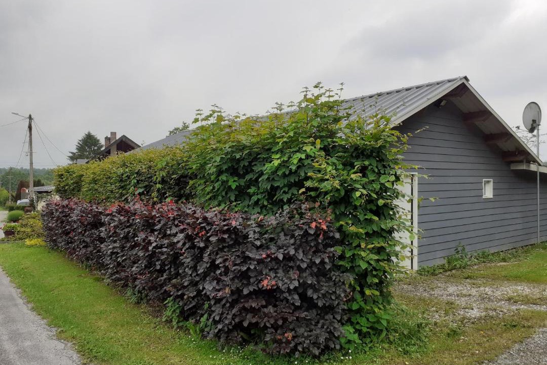 Photo of Others in La Neuville-aux-Joutes
