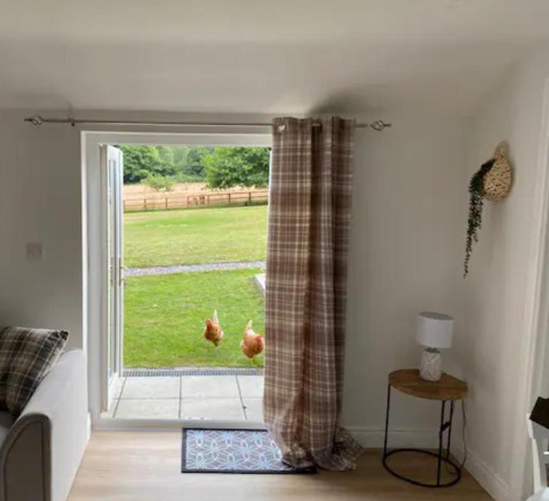 Photo of Others in Wickham