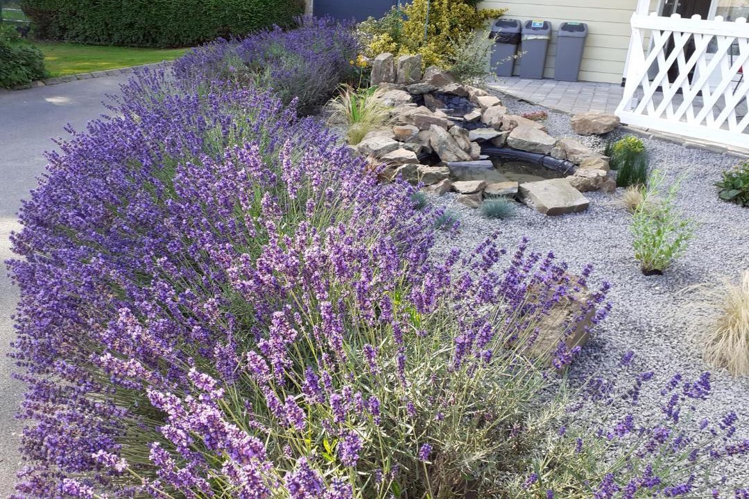 Photo of Outdoor in La Neuville-aux-Joutes