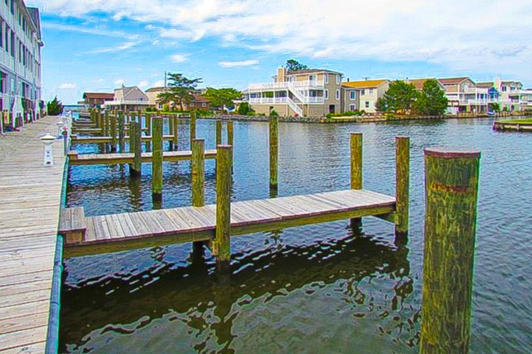 Photo of Others in Fenwick Island
