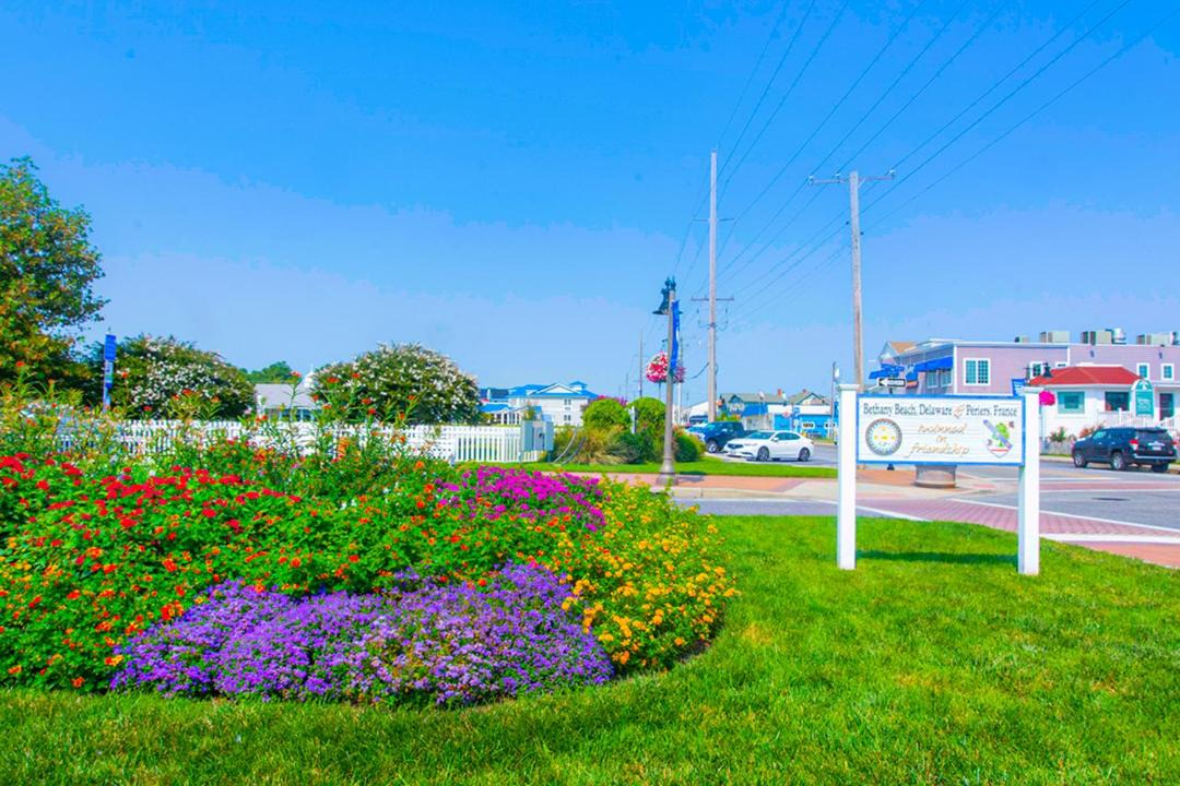 Photo of Others in Bethany Beach