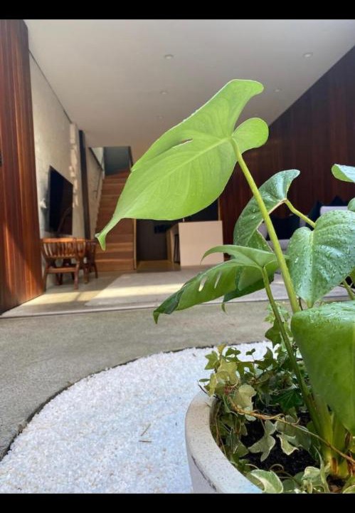 Photo of Others in Alexandria