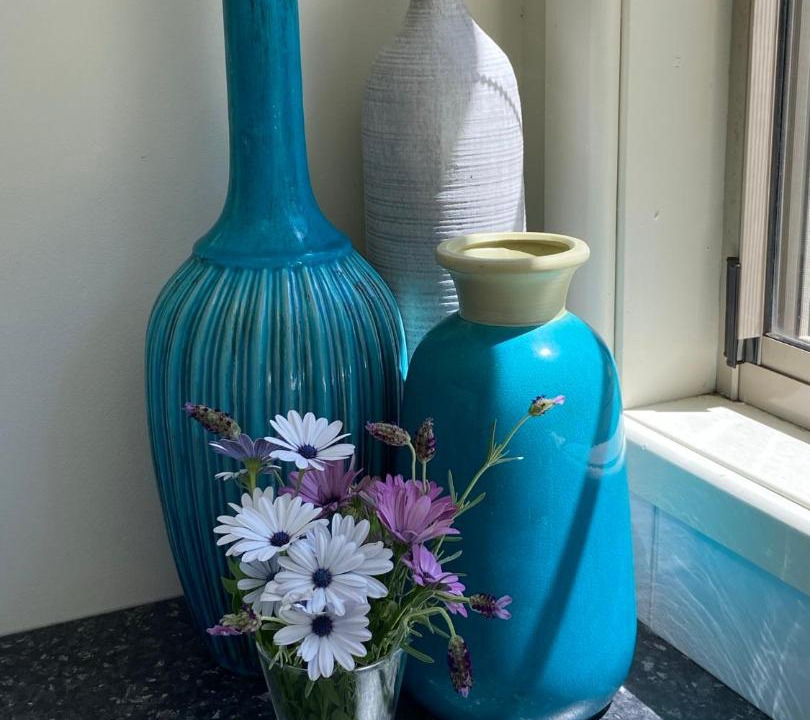 Photo of Others in Hallidays Point