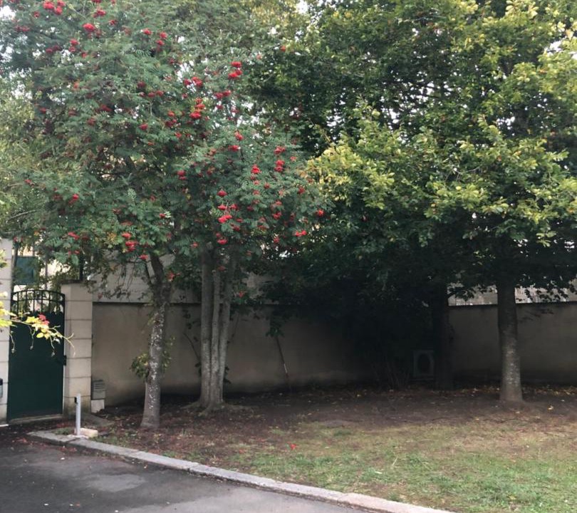 Photo of Others in Nord - Gare