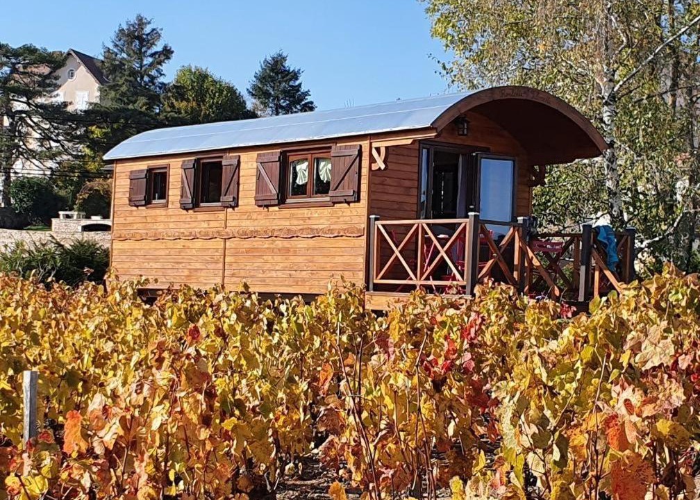 Photo of Others in Chiroubles