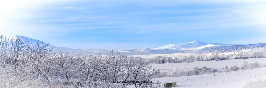 Photo of Others in Nebouzat