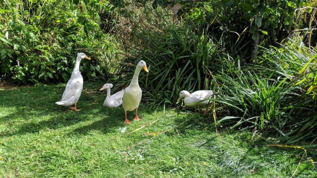 Photo of Others in Wisbech