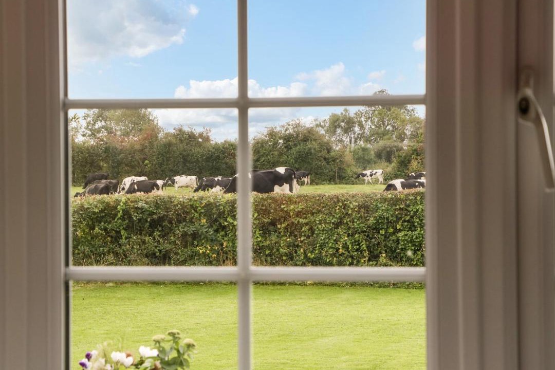 Photo of Others in Rooks Bridge