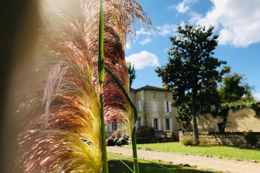 Photo of Buildings in Sainte-Bazeille