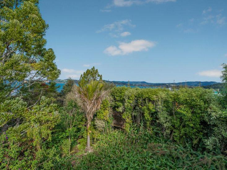 Photo of Others in Whitianga