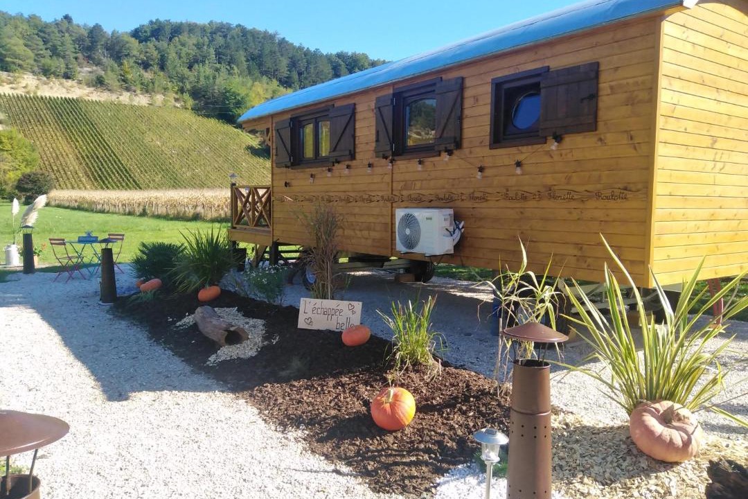 Photo of Others in Spoy