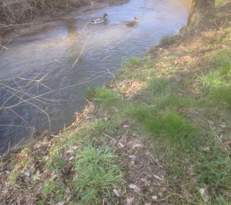 Photo of Others in Gercourt-et-Drillancourt