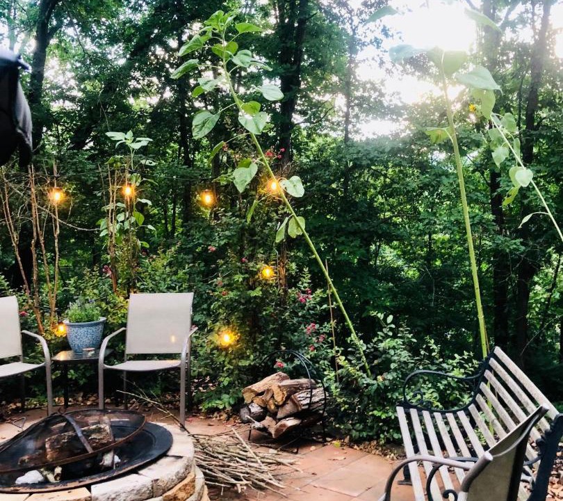 Photo of Others in Bella Vista