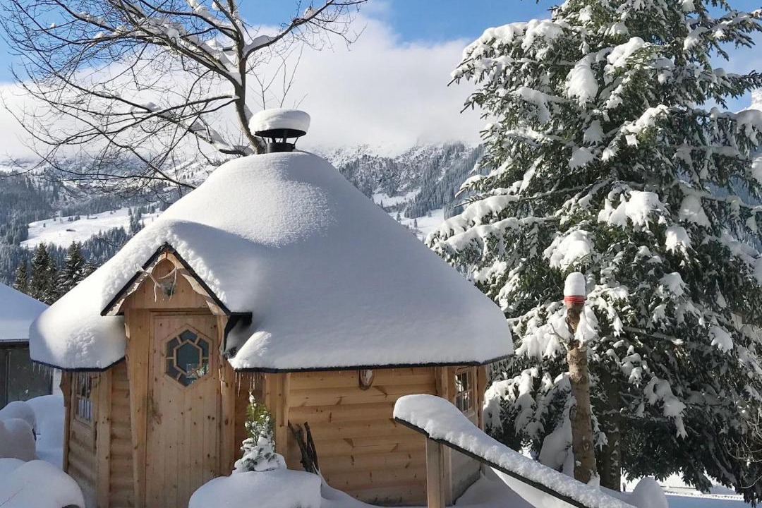 Photo of Others in Wengen