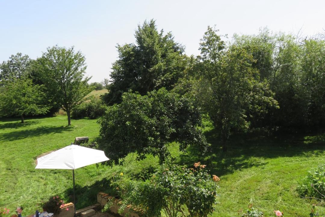 Photo of Others in Saint-Brisson-sur-Loire