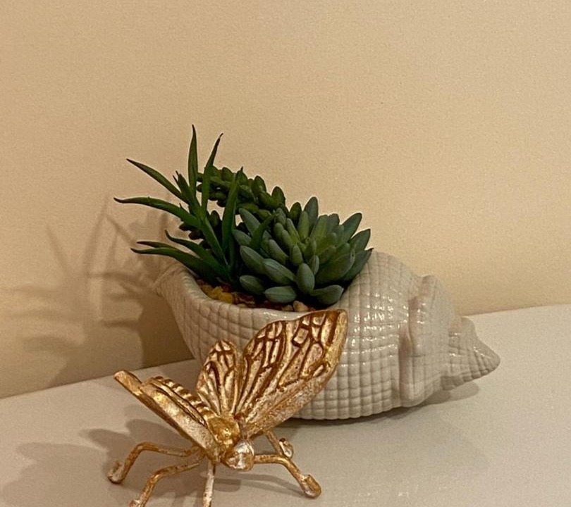 Photo of Others in St. Martins