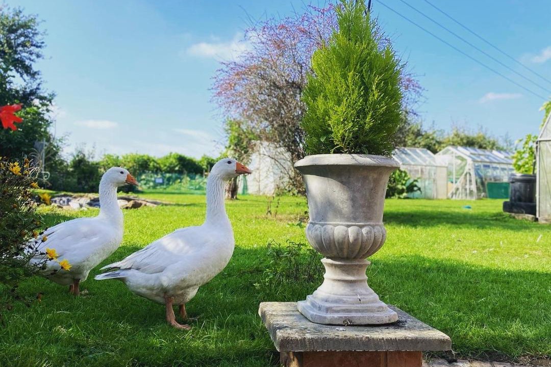 Photo of Others in Knightwick