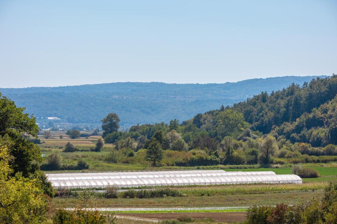 Photo of Outdoor in Krbune