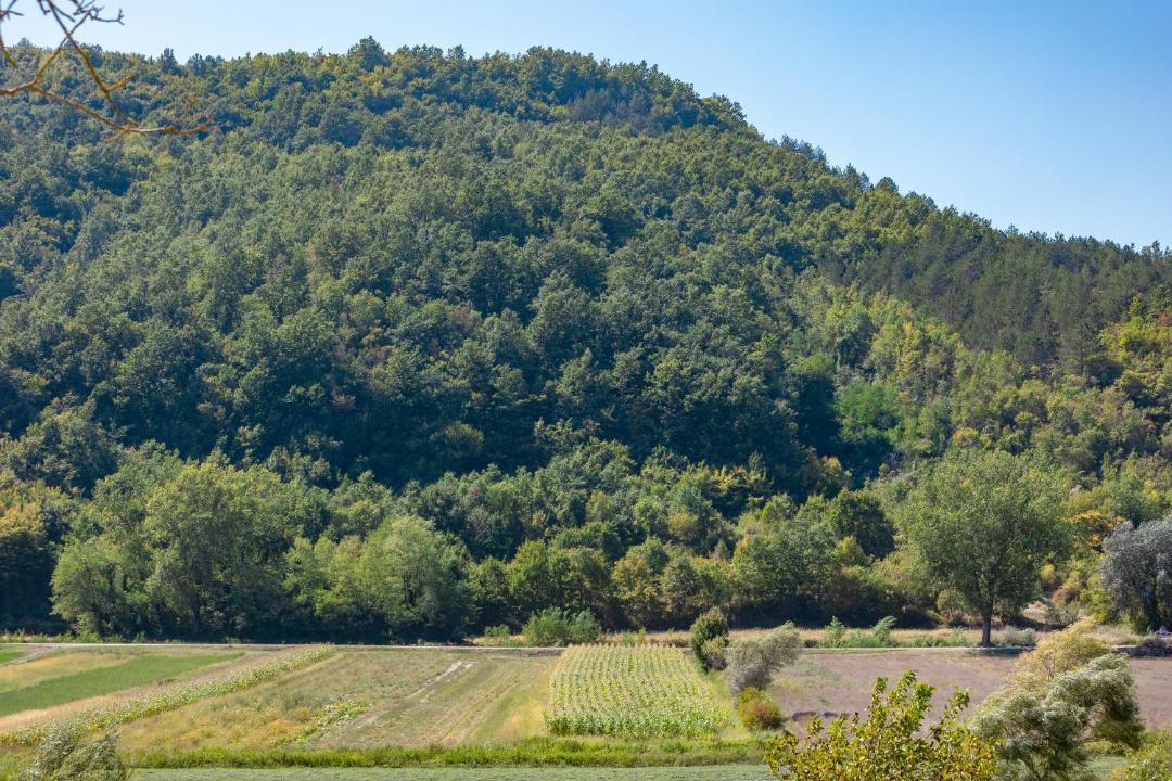 Photo of Outdoor in Krbune