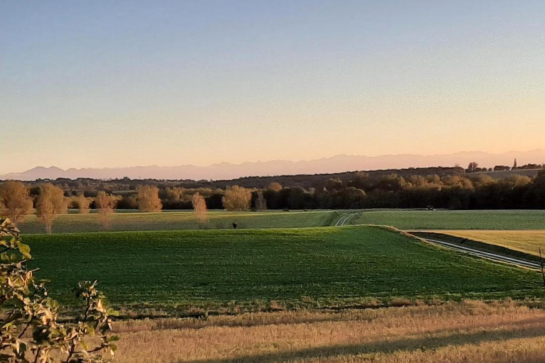 Photo of Outdoor in Revel