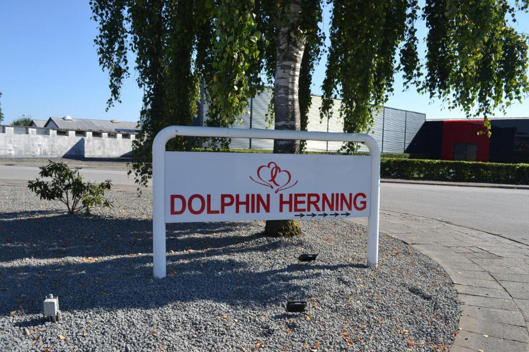 Photo of Buildings in Birk