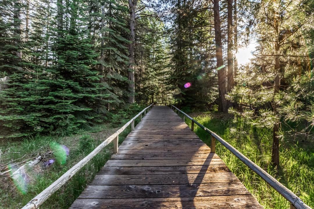 Photo of Others in Black Butte Ranch